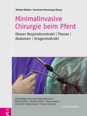 cover image of Minimalinvasive Chirurgie beim Pferd